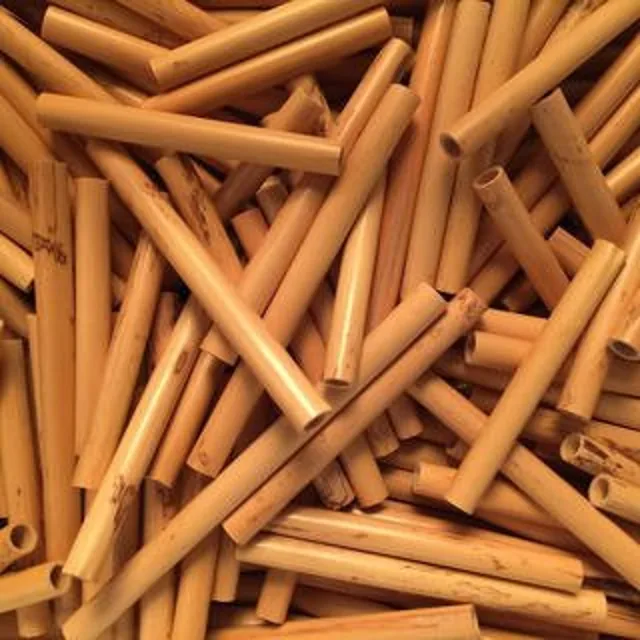 Tube cane